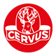 CERVUS                                            